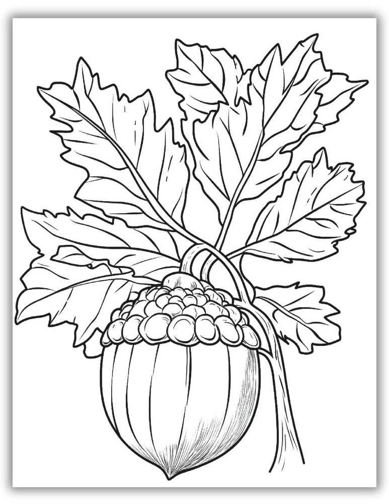 Acorn And Oak Leaf Coloring Page Printable
