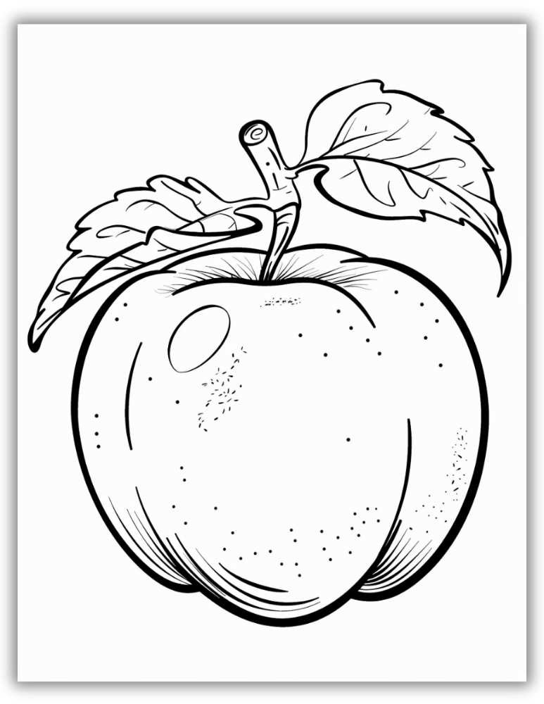 Single Apple Coloring Page PDF Free Download