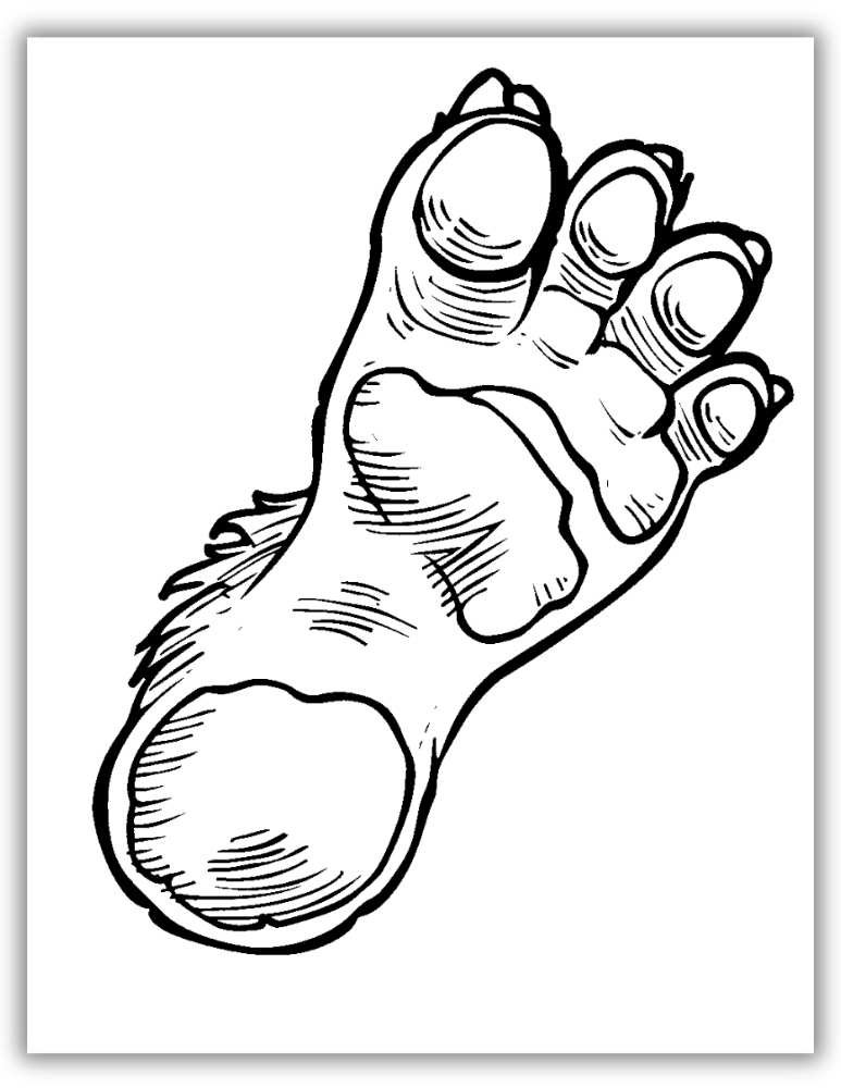 Fun Bigfoot footprint printable with an oversized, five-toed Sasquatch track, ideal for kids and adults to color.