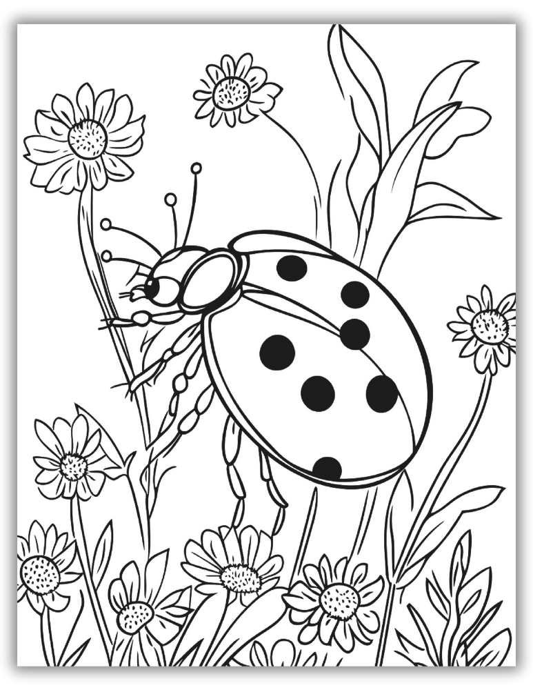 Ladybug and flowers coloring page