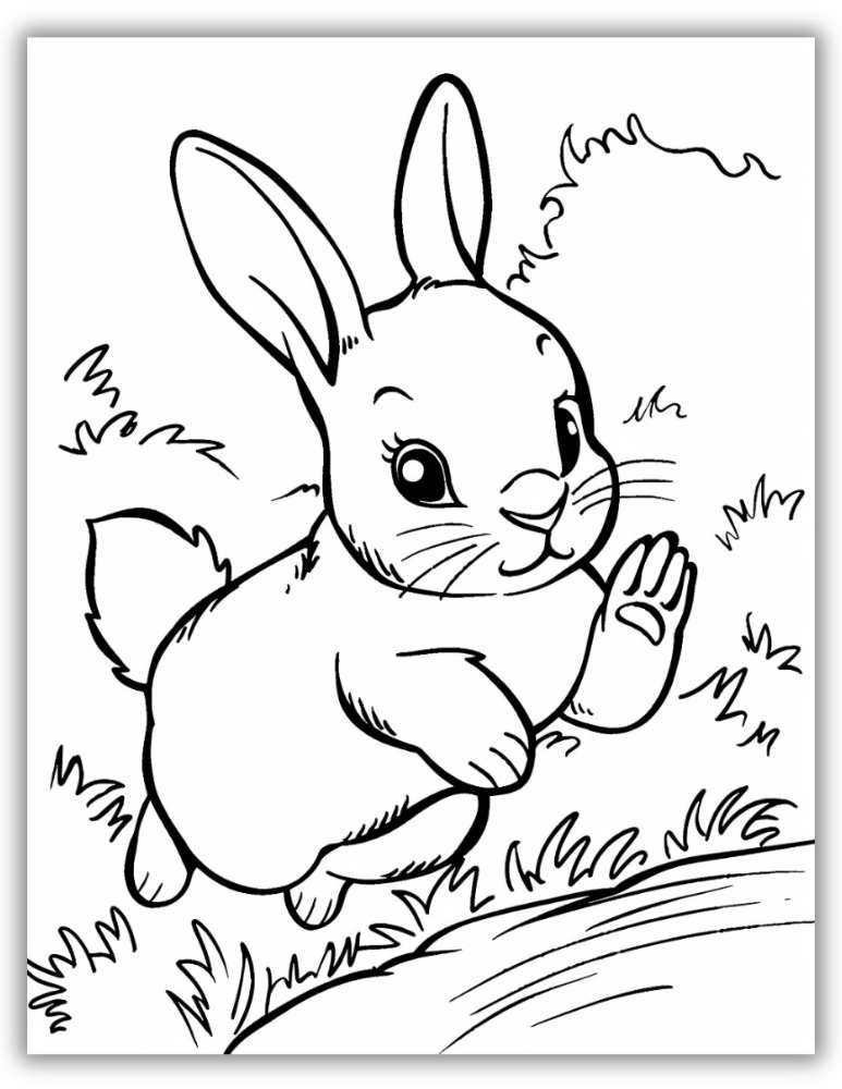 Jumping Bunny Coloring Page