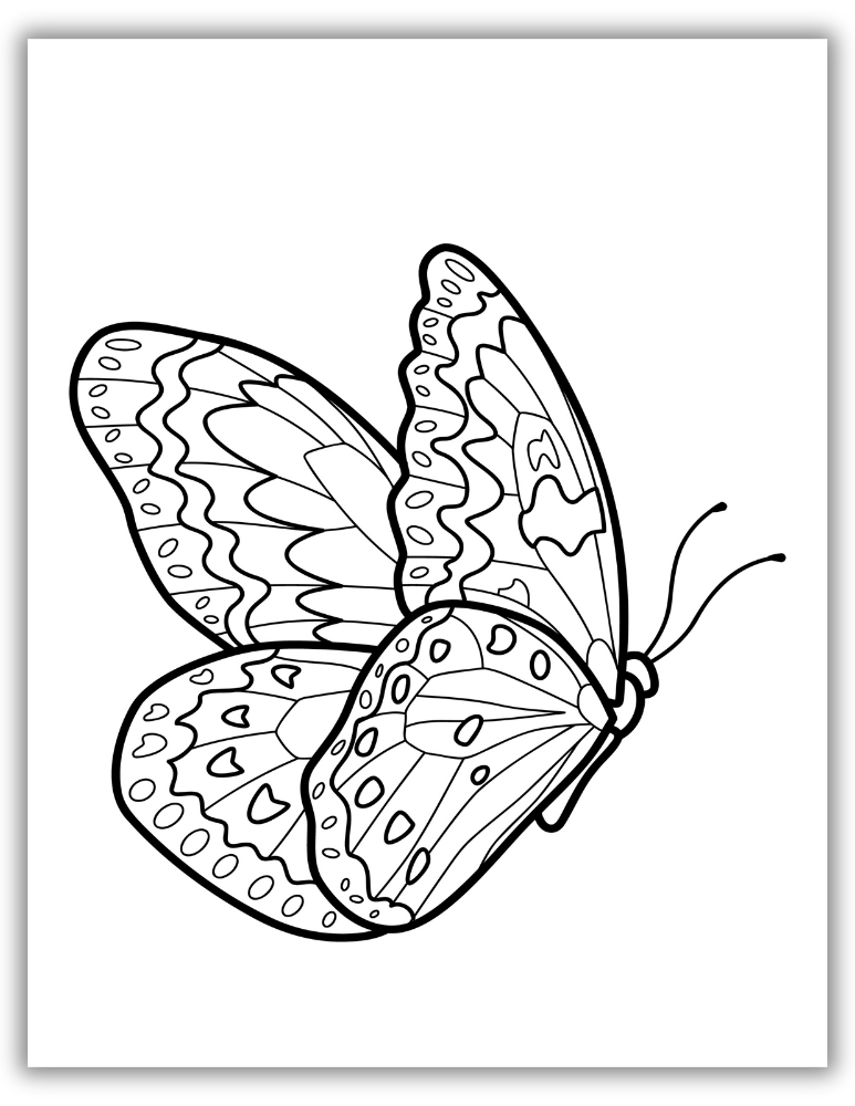 Cartoon butterfly coloring page