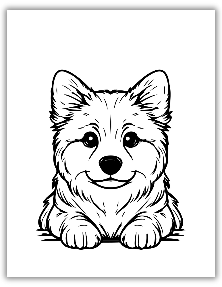 Corgi puppy coloring page