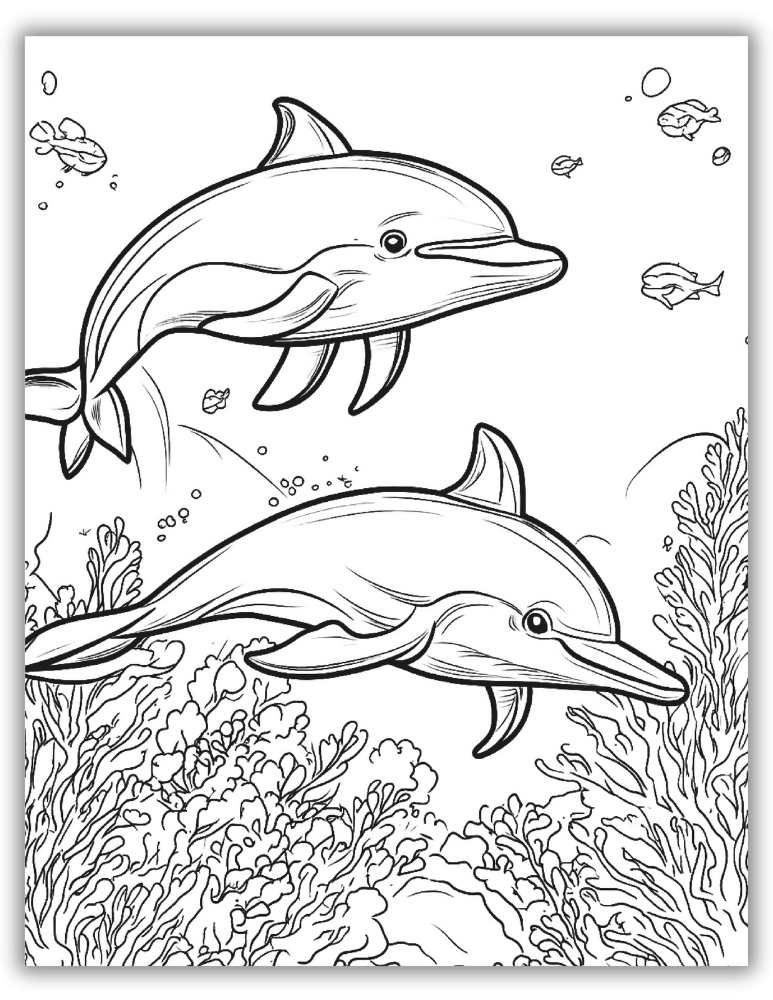 Playful dolphins coloring page
