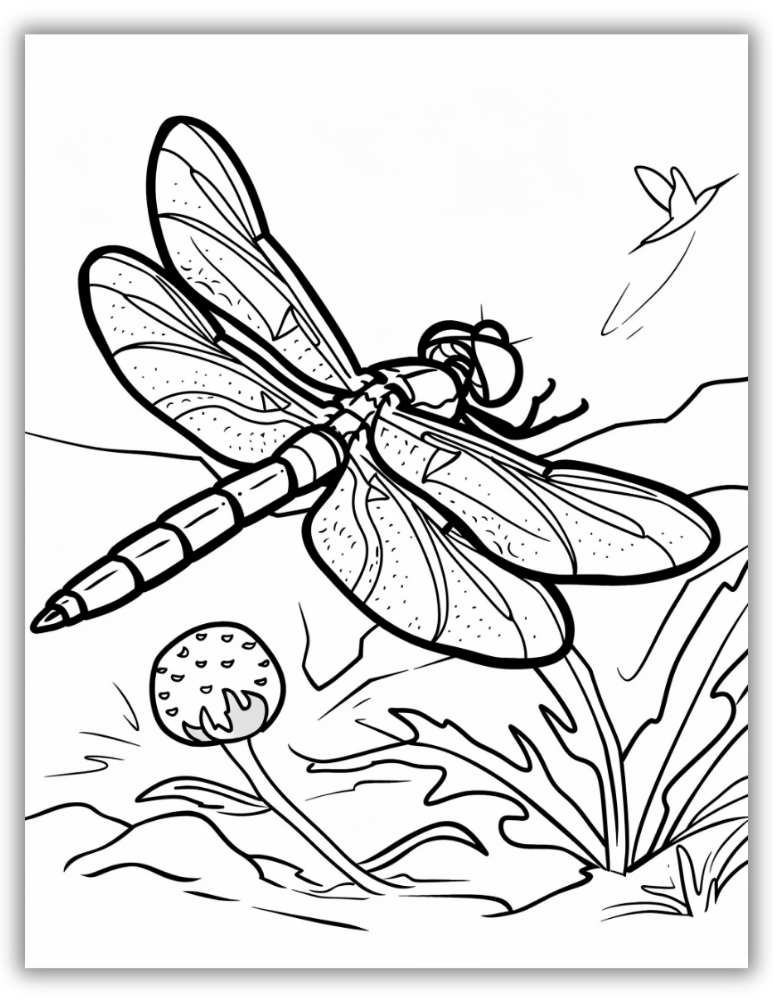 Dragonfly flying coloring page