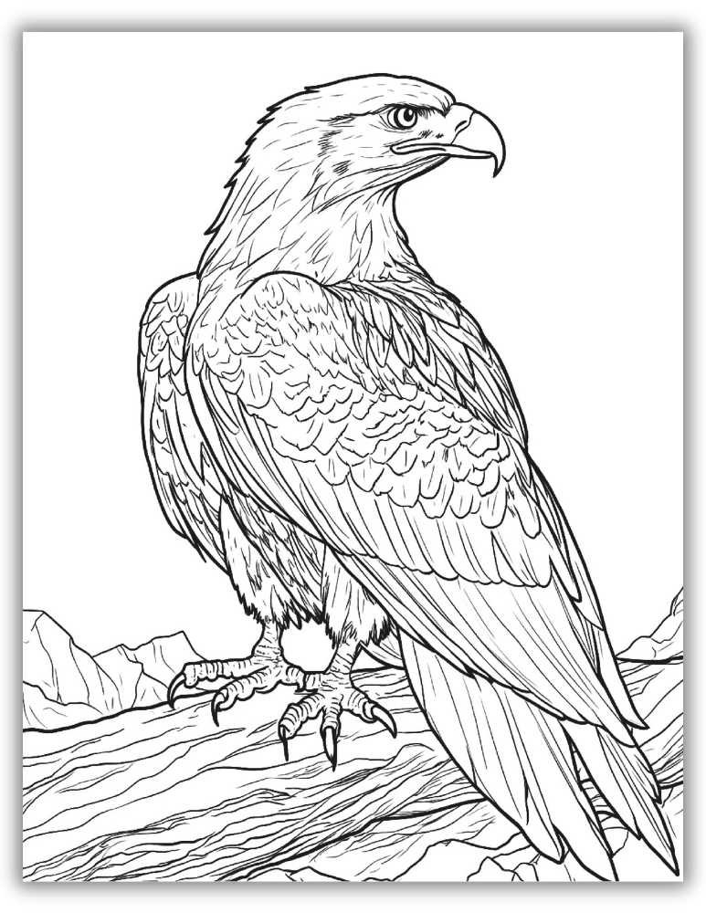 Eagle Bird coloring pages