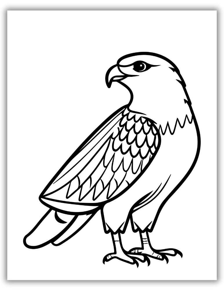 Eagle drawing for coloring for kids