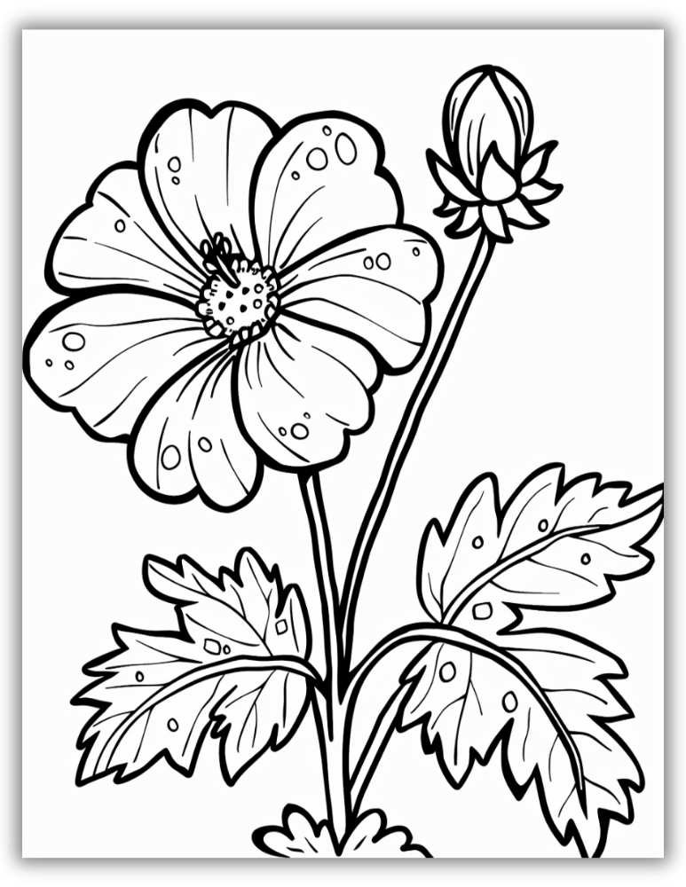Realistic flower coloring page
