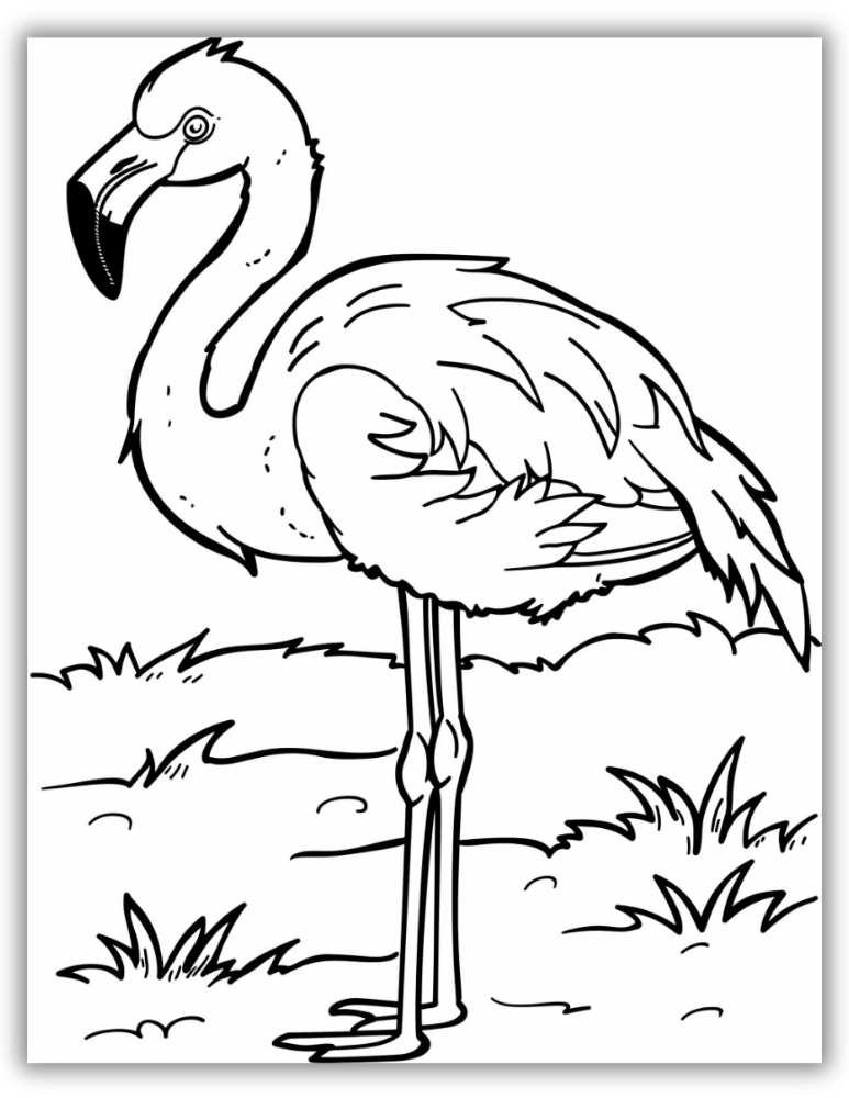 Cute Flamingo Coloring Page PDF Download