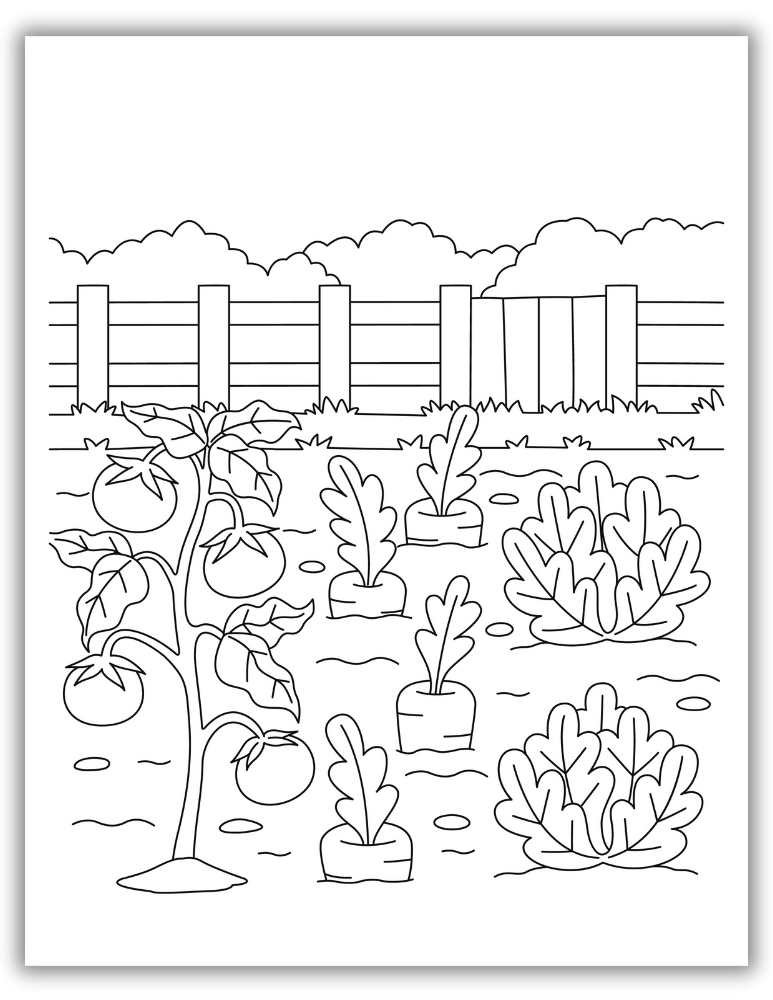 vegetable garden coloring page