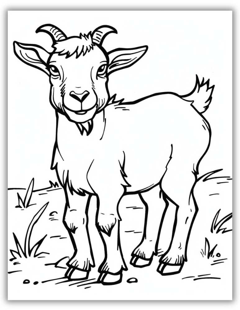 Realistic goat coloring page with detailed farm-style illustration