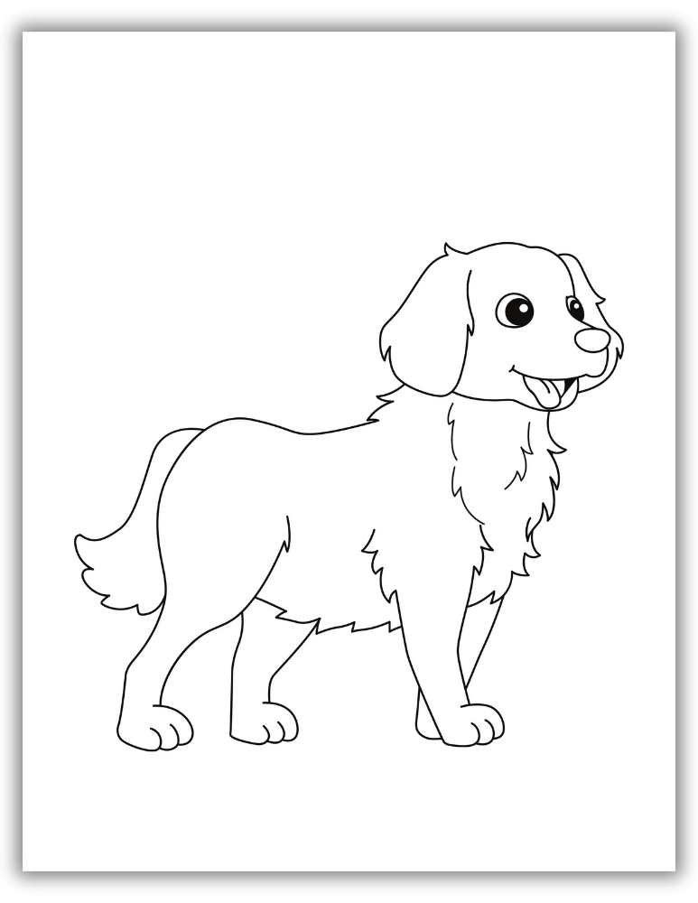Golden Retriever standing tall coloring page with strong, proud pose