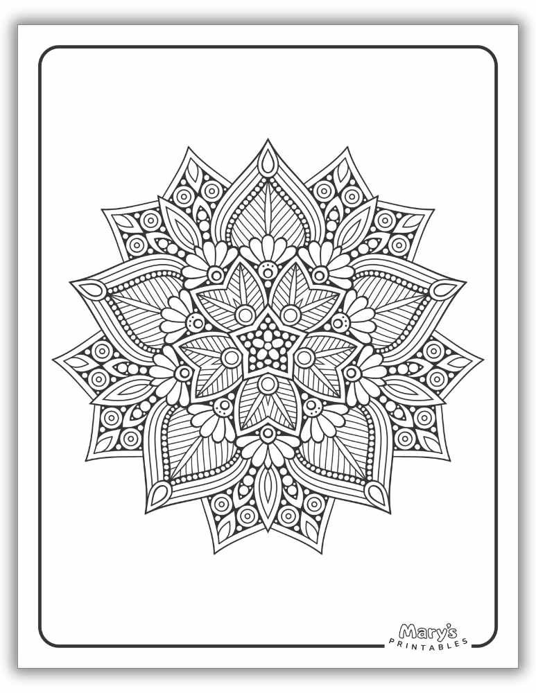 Beautiful symmetrical mandala coloring page with precise geometric lines in a printable format.