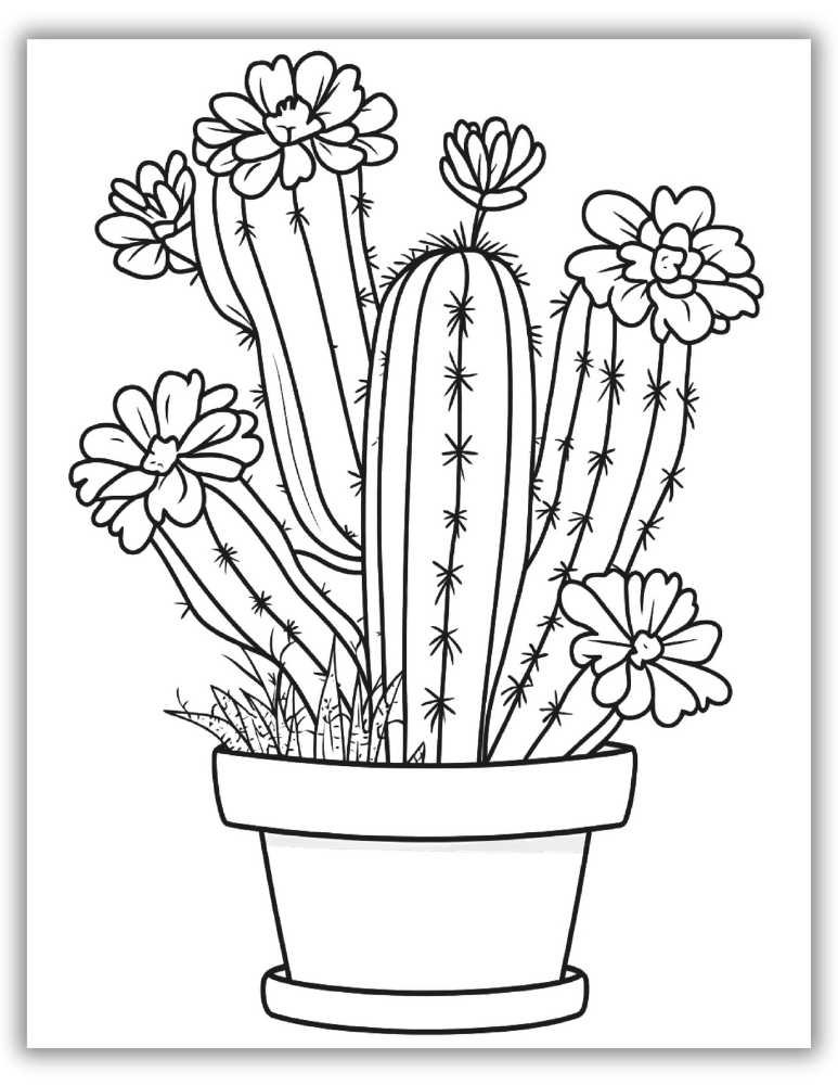 Cactus with flowers coloring page