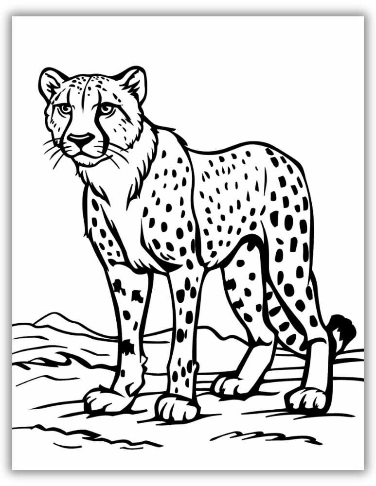Cheetah on a hunt coloring page