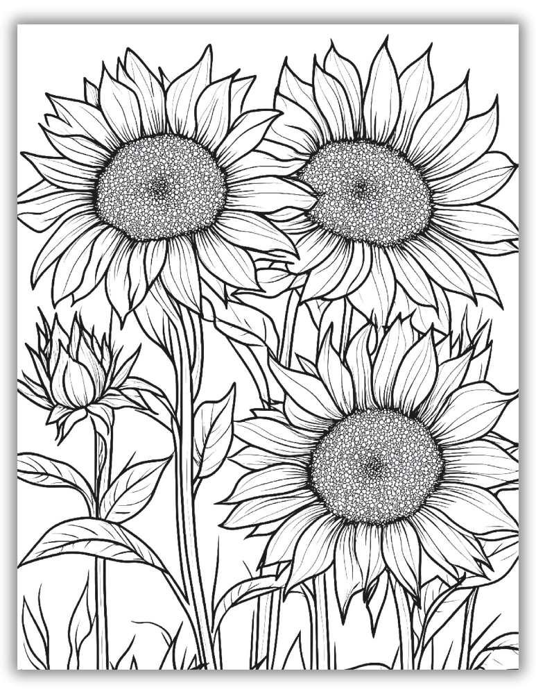 3 Sunflowers Coloring Page