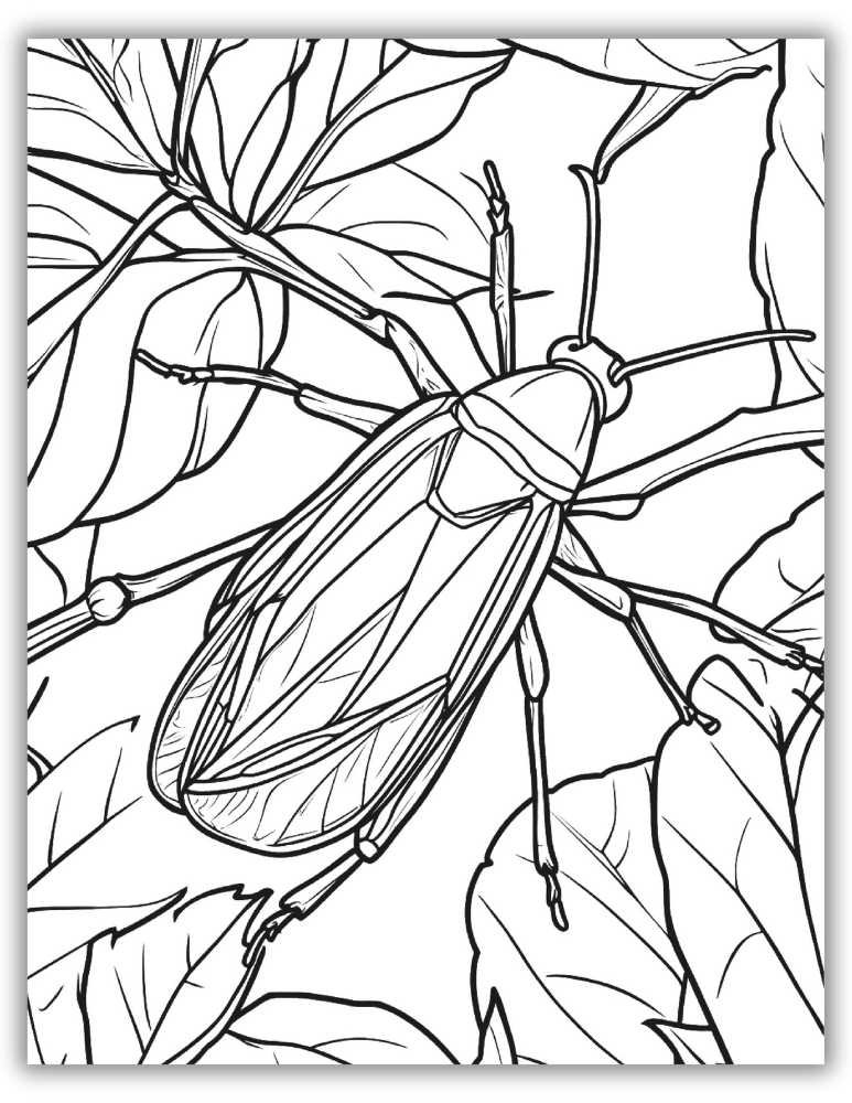 Coloring page of a leaf beetle on a leaf in a natural setting – printable insect coloring pages.