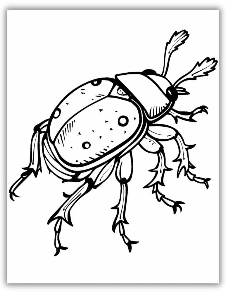 Classic beetle outline coloring page – educational insect printable for children.