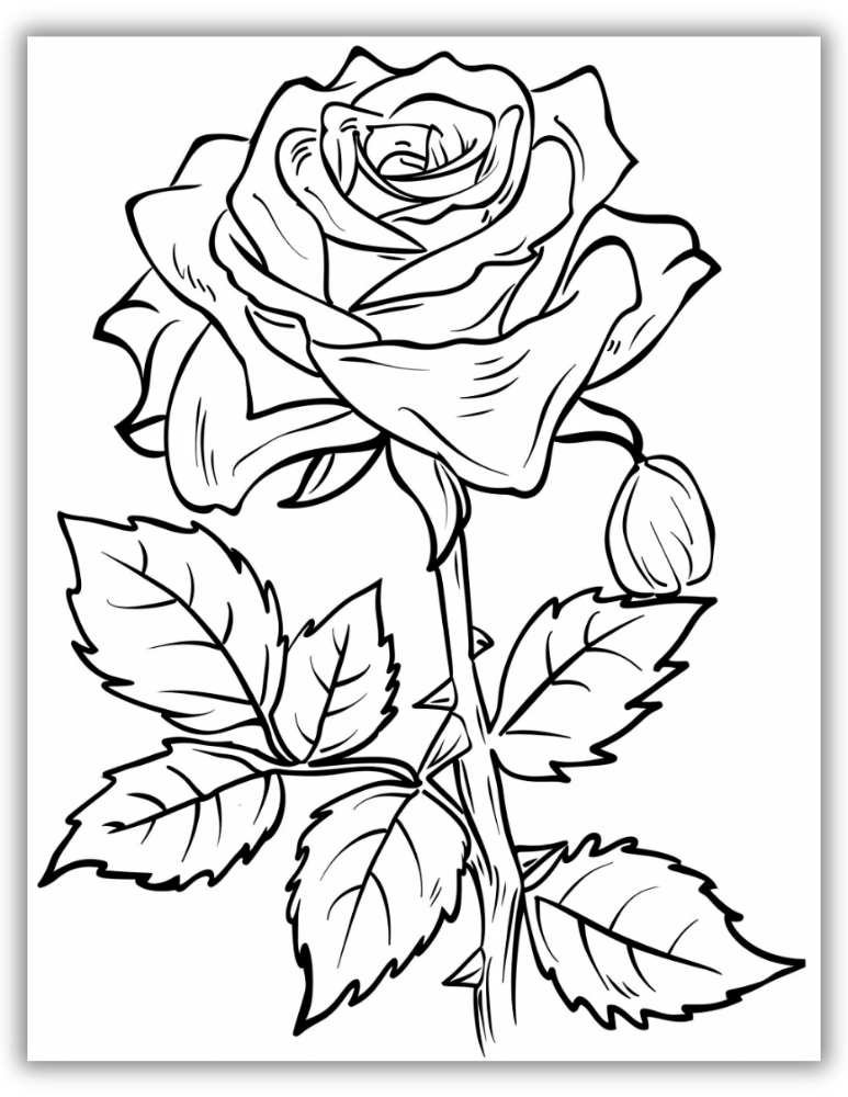 Large Rose Coloring Page