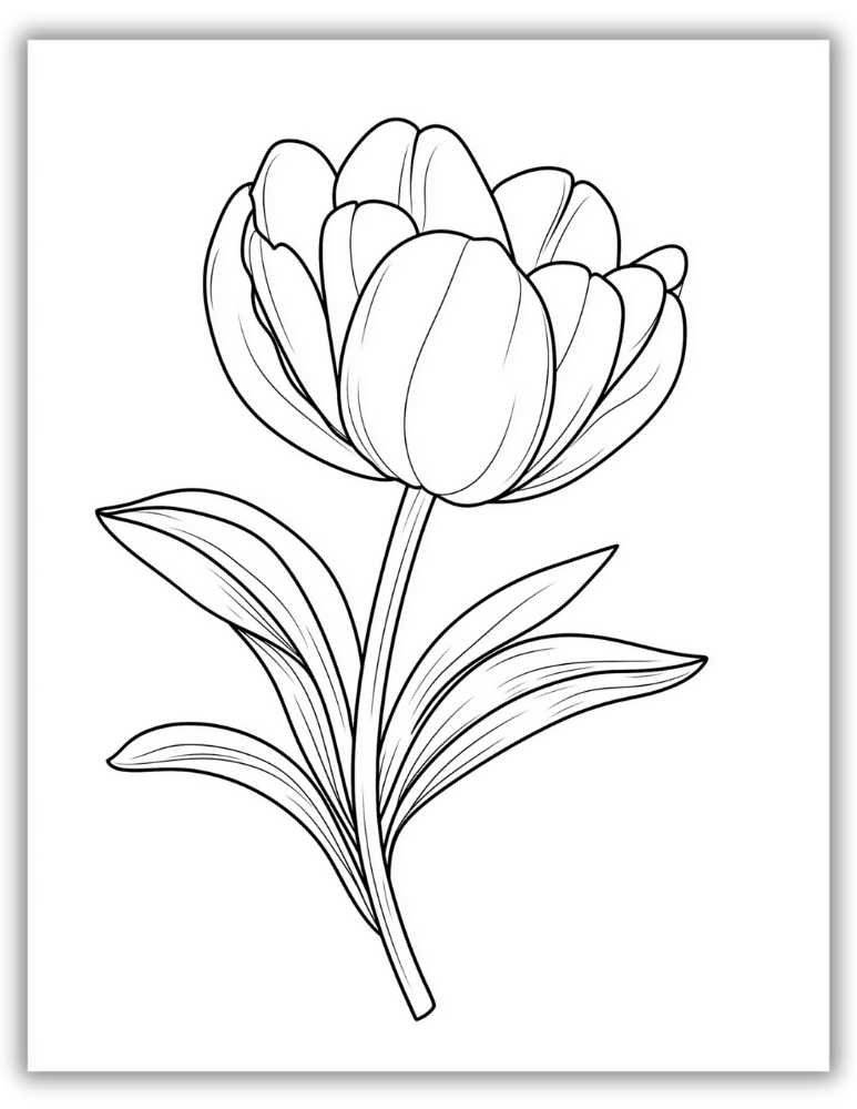 Large Tulip Coloring Page