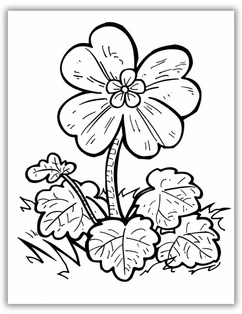 Cute Clover Flower Coloring Page