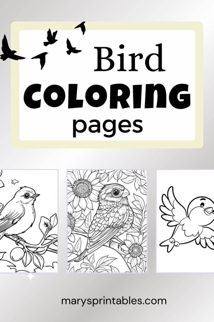 Bird Coloring Page Featured Image