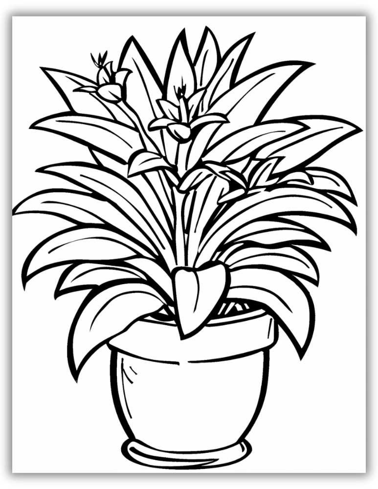 Simple leaf and plant coloring sheet