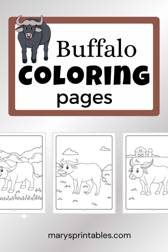 Buffalo Coloring Pages Featured Image