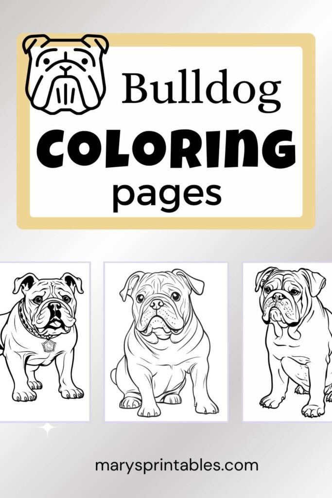 Bulldog Coloring Pages Featured Image