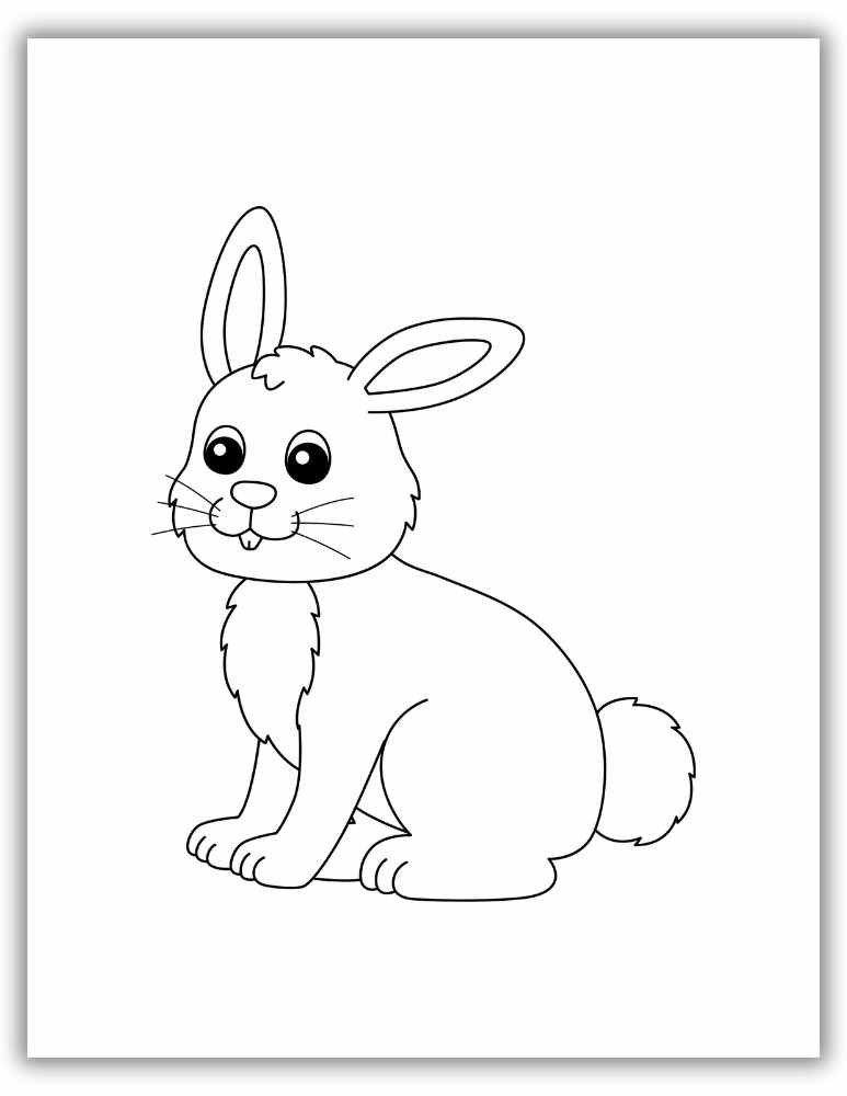 Simple Outline Bunny Rabbit Coloring Page