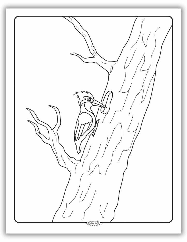Free printable woodpecker coloring sheet for kids – fun and educational bird-themed activity