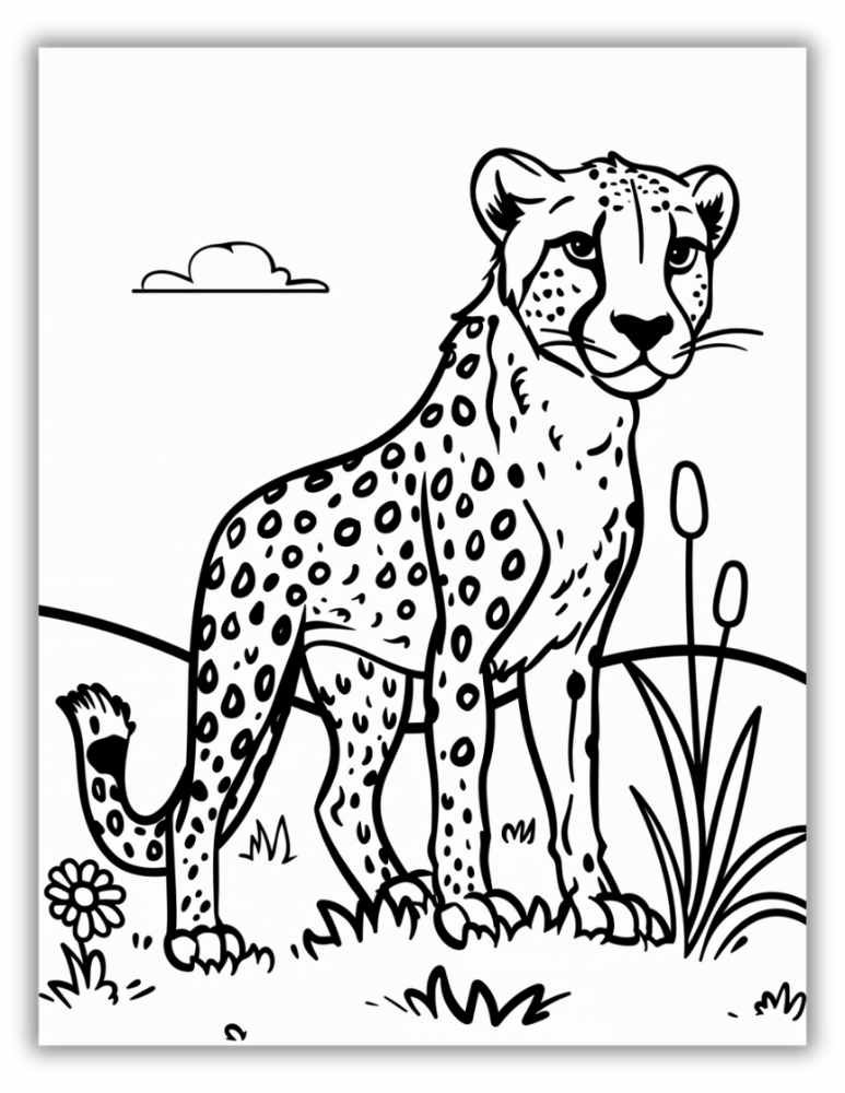 Cheetah Ready to Hunt Coloring Page Free PDF Download