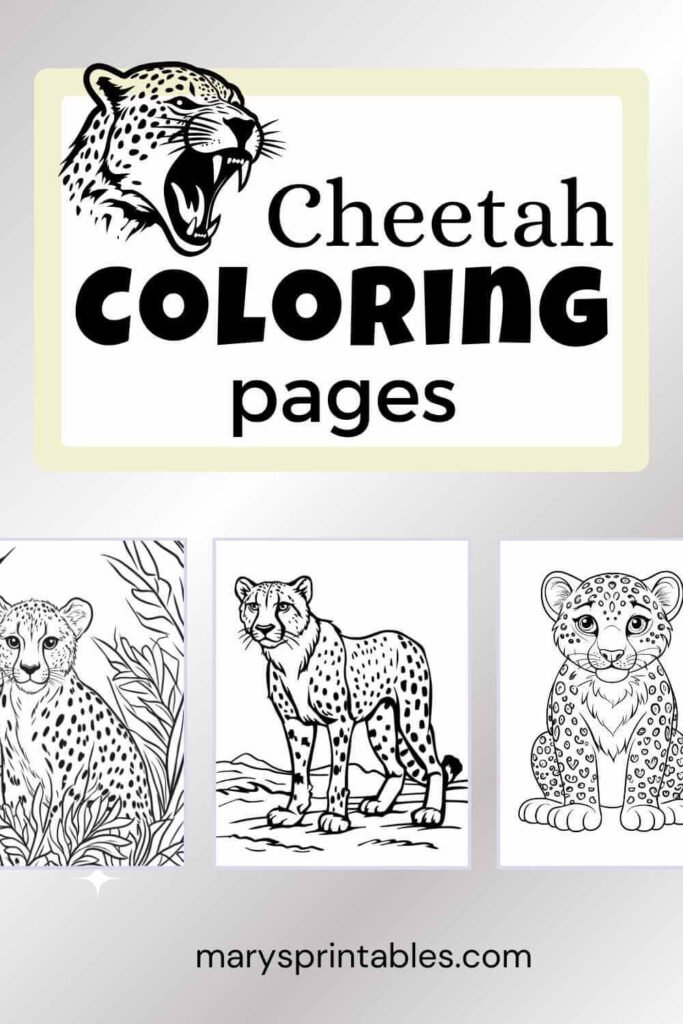 Cheetah Coloring Page Preview