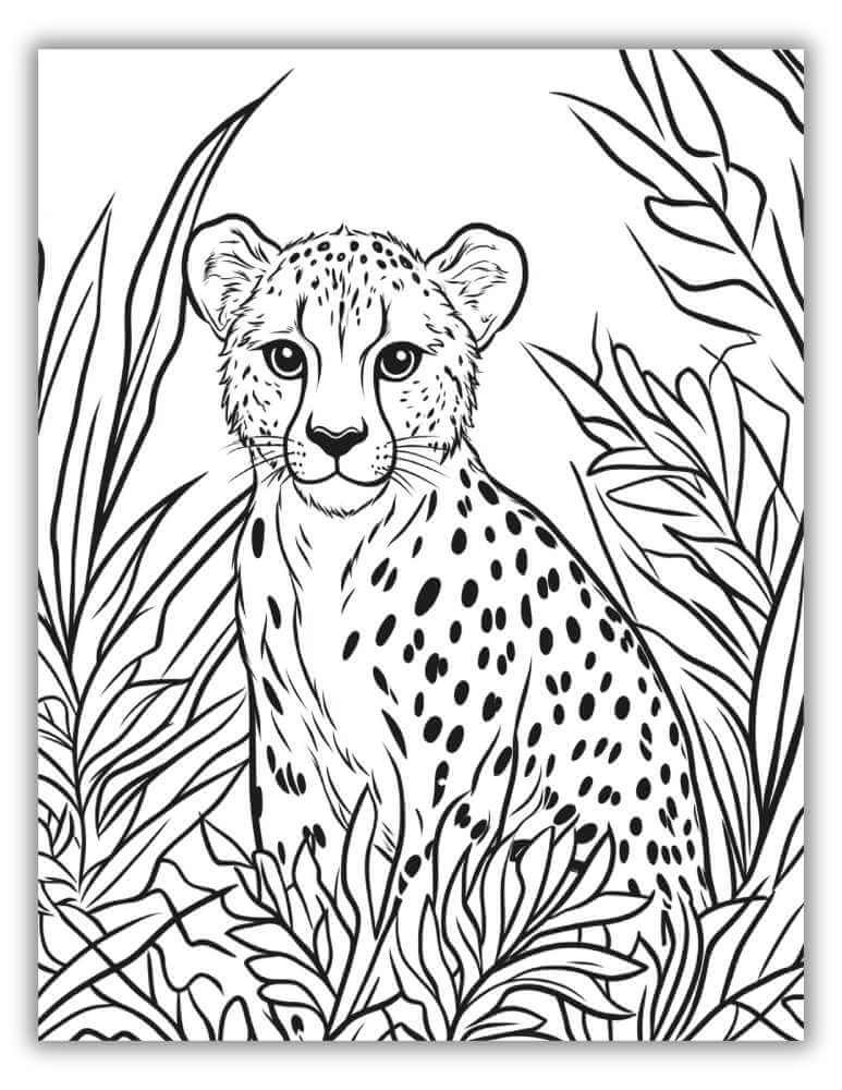 Cheetah in the wild coloring page