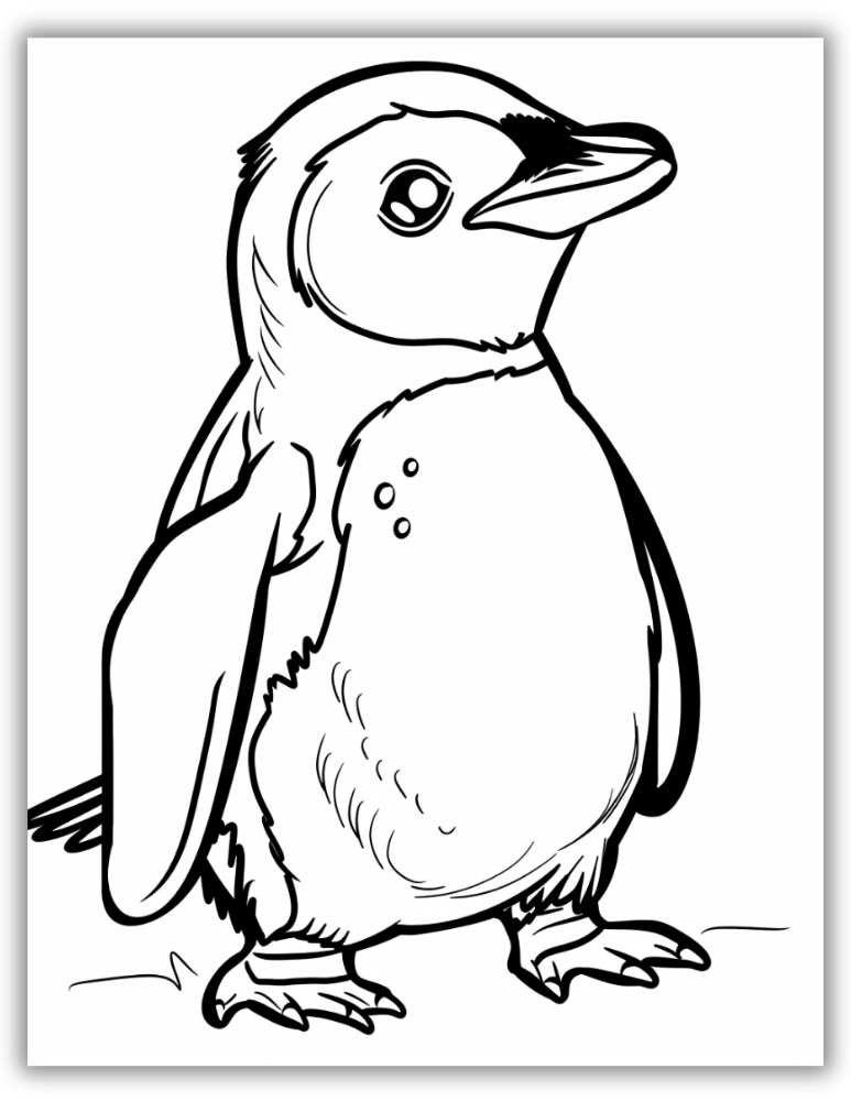 Free printable penguin to color for kids