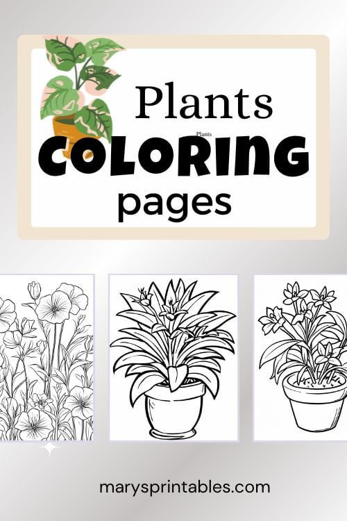 Easy Plant Coloring Pages to Download – Free to Print