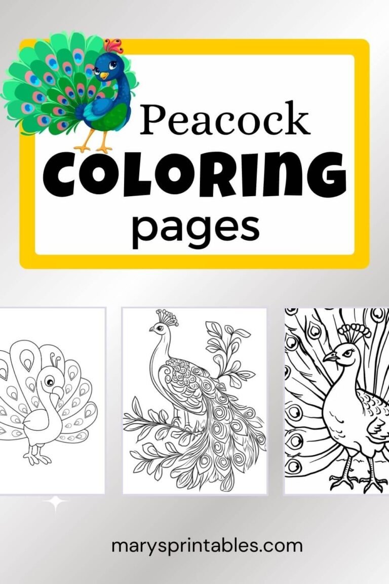 Beautiful Peacock Coloring Sheets with Elegant Feathers