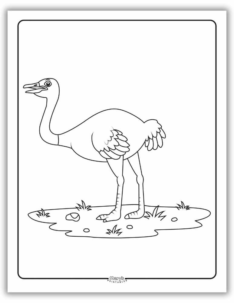 Free printable ostrich coloring sheet for preschoolers