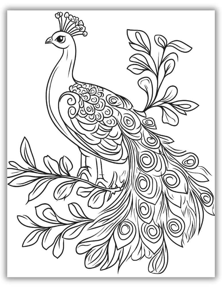 Beautiful peacock coloring page printable