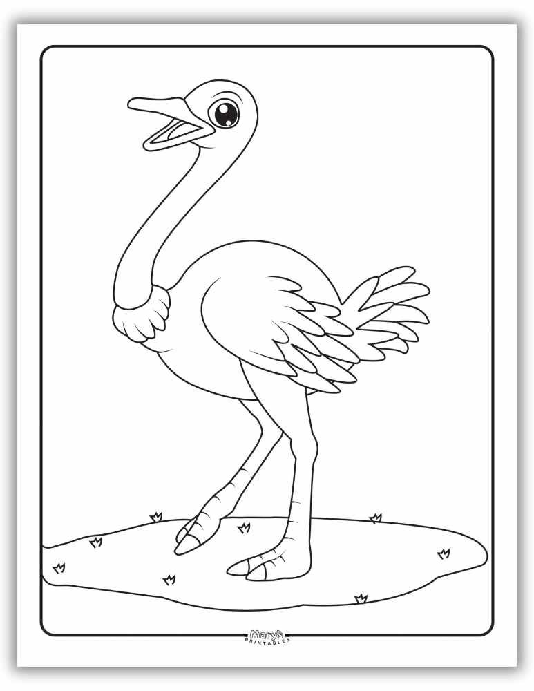 Cute ostrich coloring page for kids to print