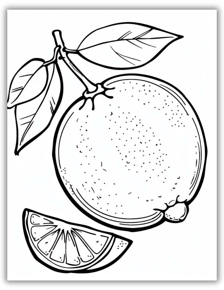 Classic whole orange with a leafy stem – free printable PDF coloring page ideal for kids and beginners.