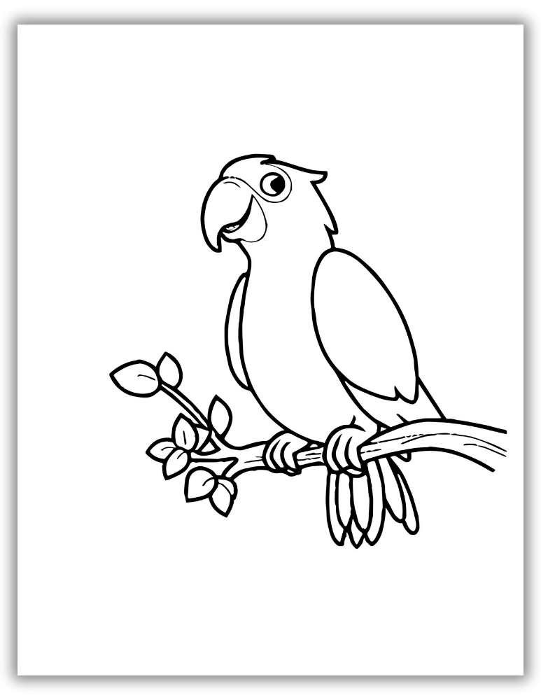 Realistic parrot drawing for coloring