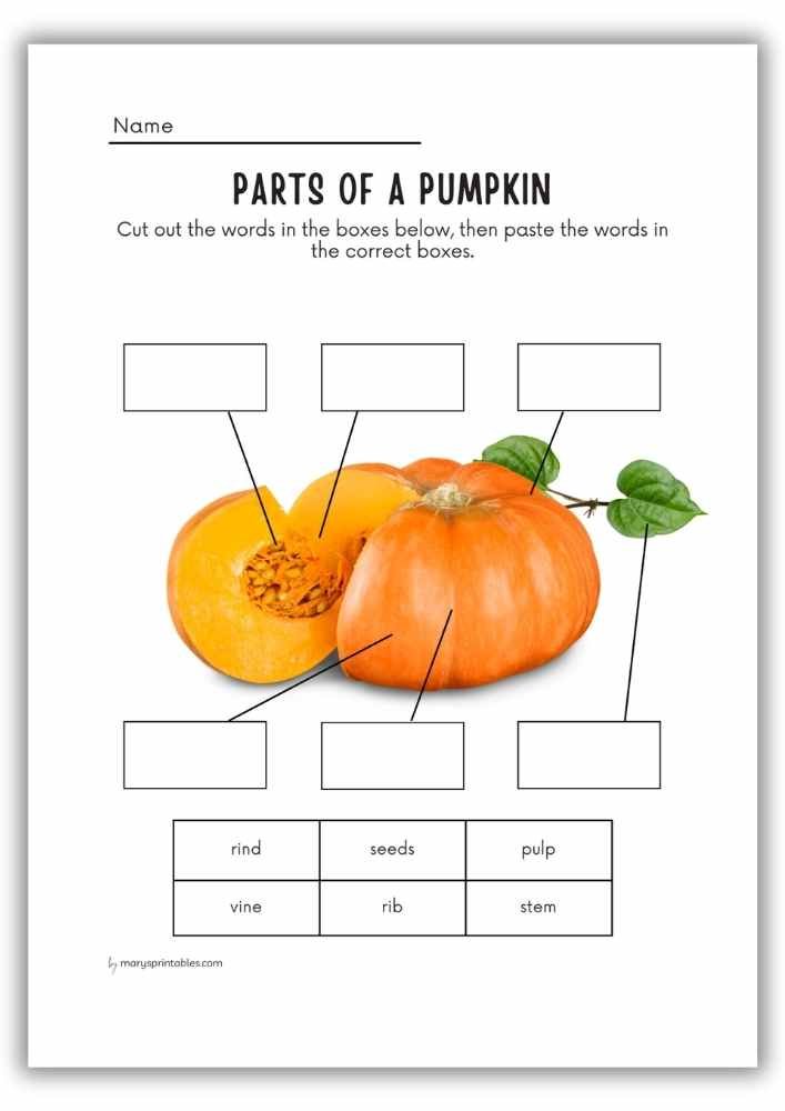 Parts of a pumpkin worksheet – cut and paste labeling activity.