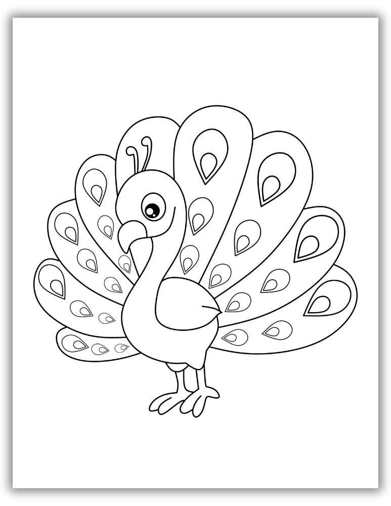 Cute peacock coloring page for kids