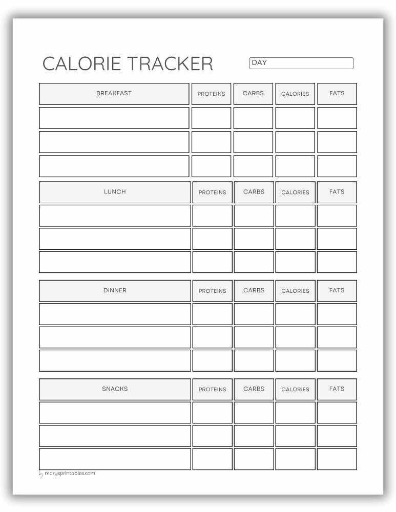 Printable calorie tracker page for daily food tracking