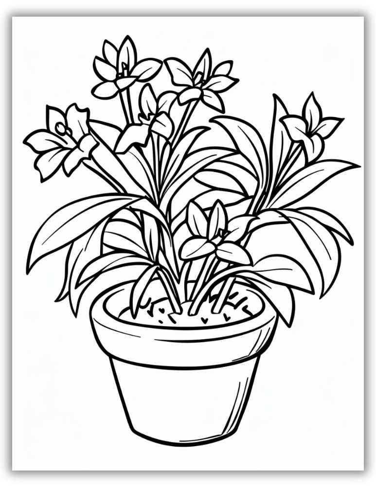 Botanical plant outline for coloring