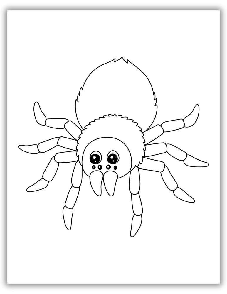Easy and SImple outline of Spider Halloween Coloring Pages