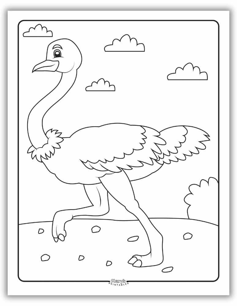 Easy ostrich coloring picture for toddlers and young artists