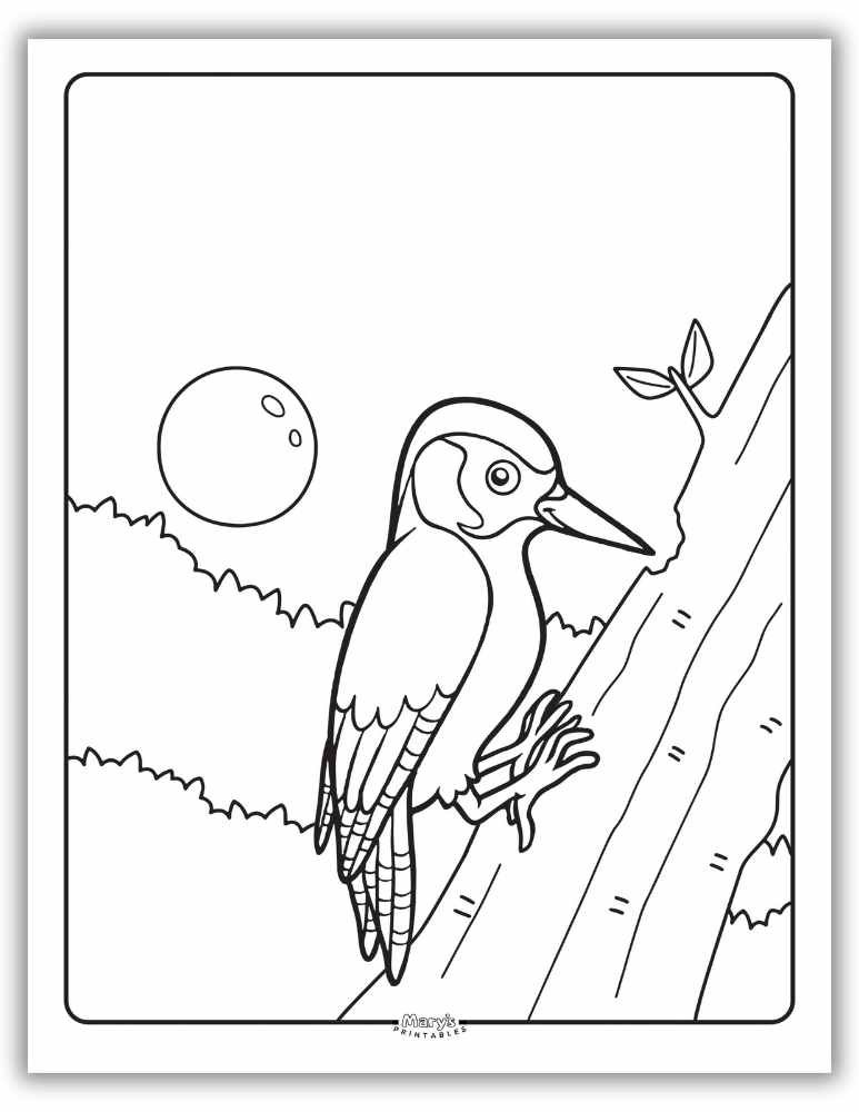 Realistic woodpecker coloring page with detailed feathers – perfect for nature-loving kids