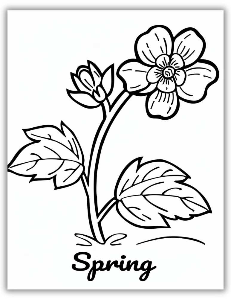Spring Flower Coloring Page Free PDF